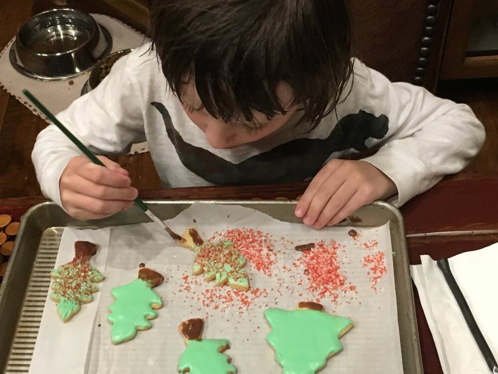 This is what decorating cookies can do for a five-year-old (our grandson, Mack). He was so serious about painting the trees!