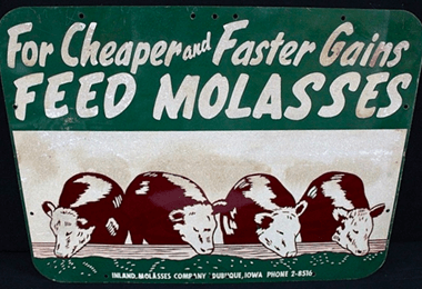 Restoration & Construction, Part III – Molasses!