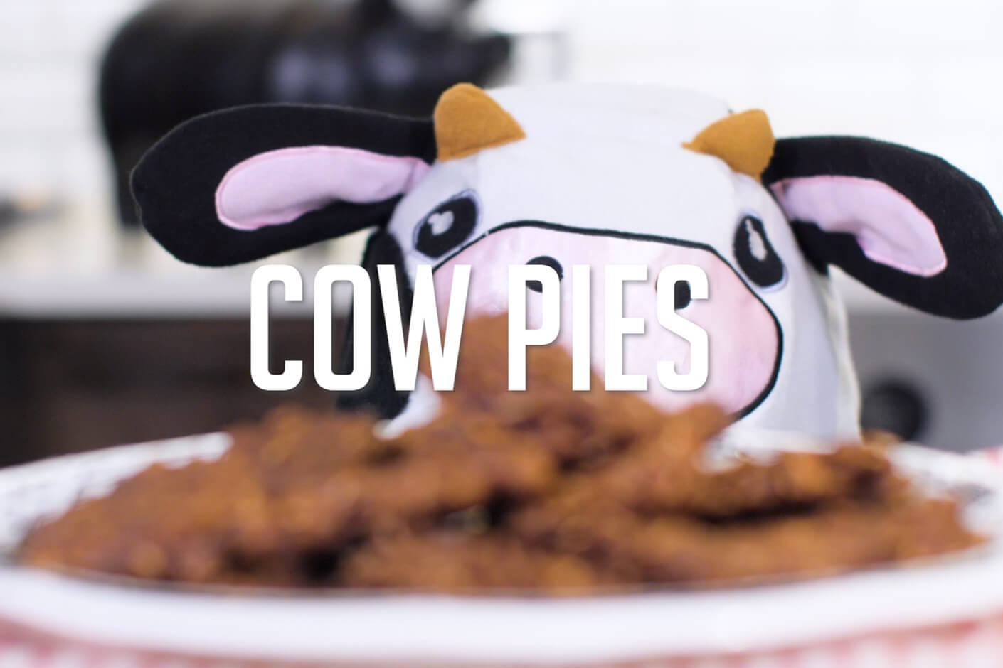 Cow Pies
