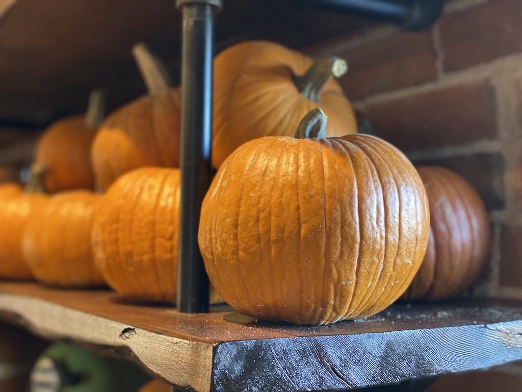 Pumpkins in the Teaching Kitchen at Ginger and Baker in Fort Collins