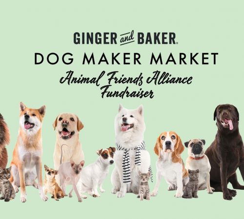 Dog maker market