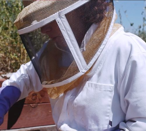 Ginger Graham beekeeping at the Ginger and Baker hives