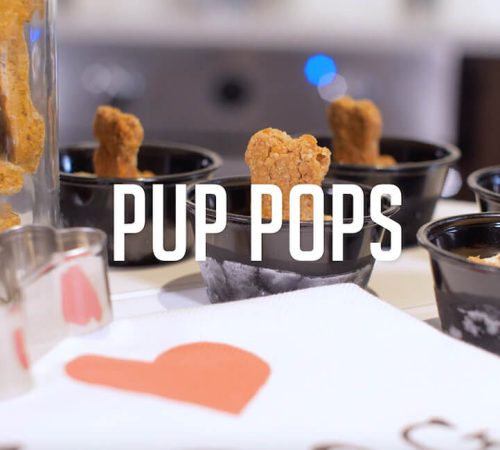 Pup Pops Recipe Video filmed at Ginger and Baker