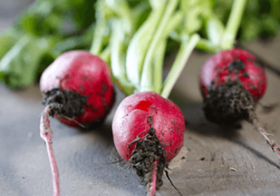 Radishes, Three Ways