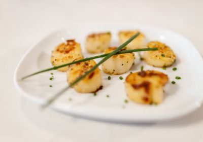 Scallop