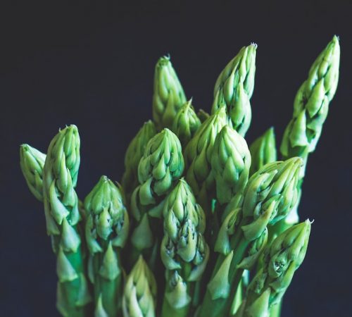 asparagus farmers market