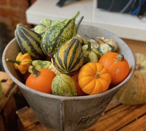 Pumpkins in the Teaching Kitchen at Ginger and Baker in Fort Collins